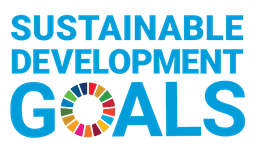 SDG 11